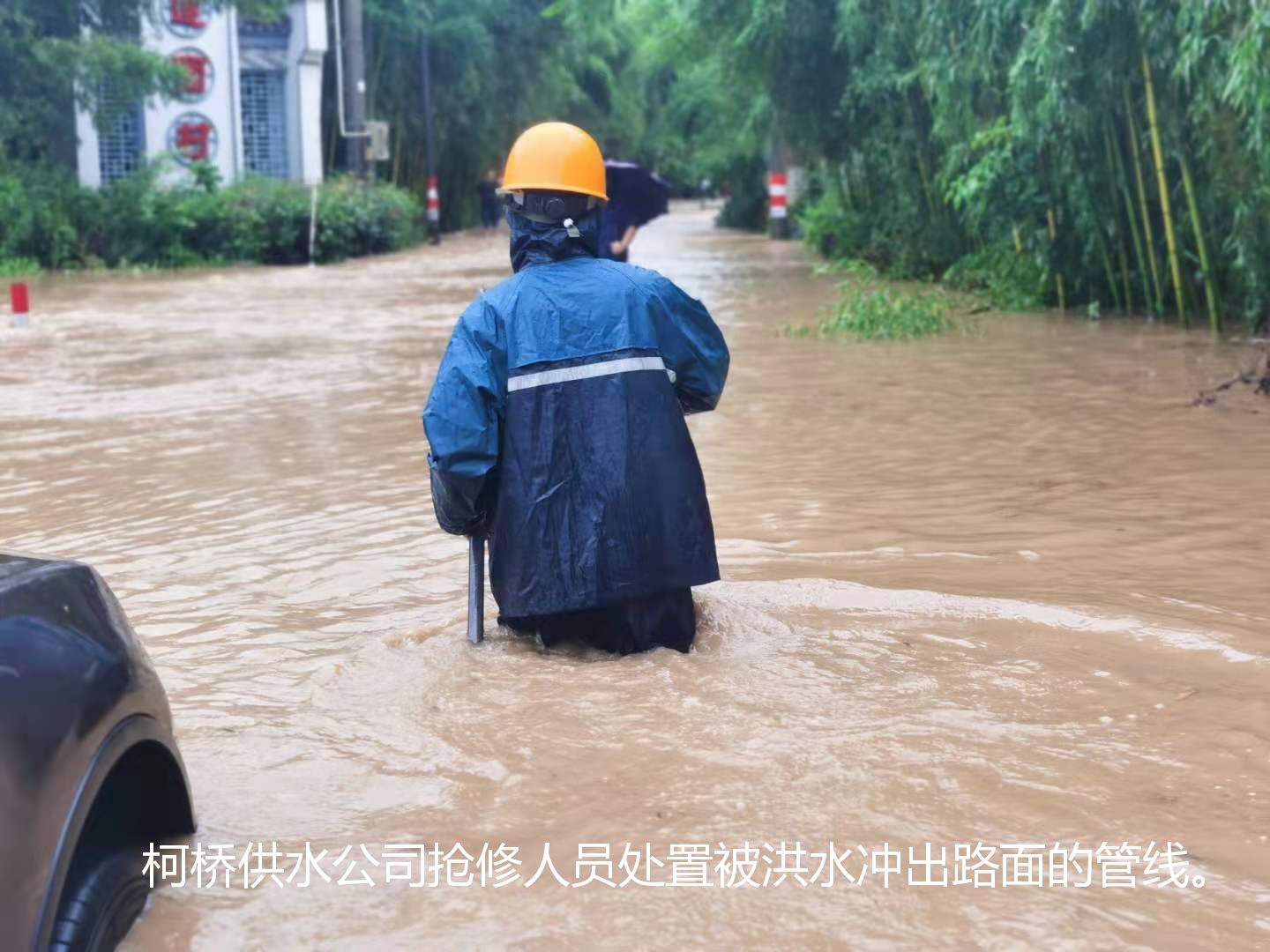 1627523874435427.jpg 1627523874435427.jpg